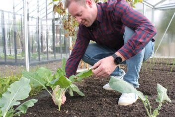 Laatste groente oogsten Euroserre