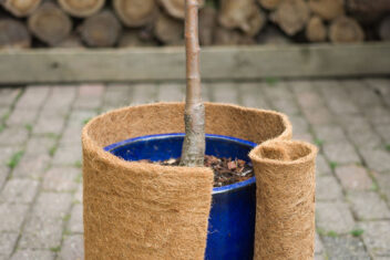 Nature vorstbescherming kokosmat