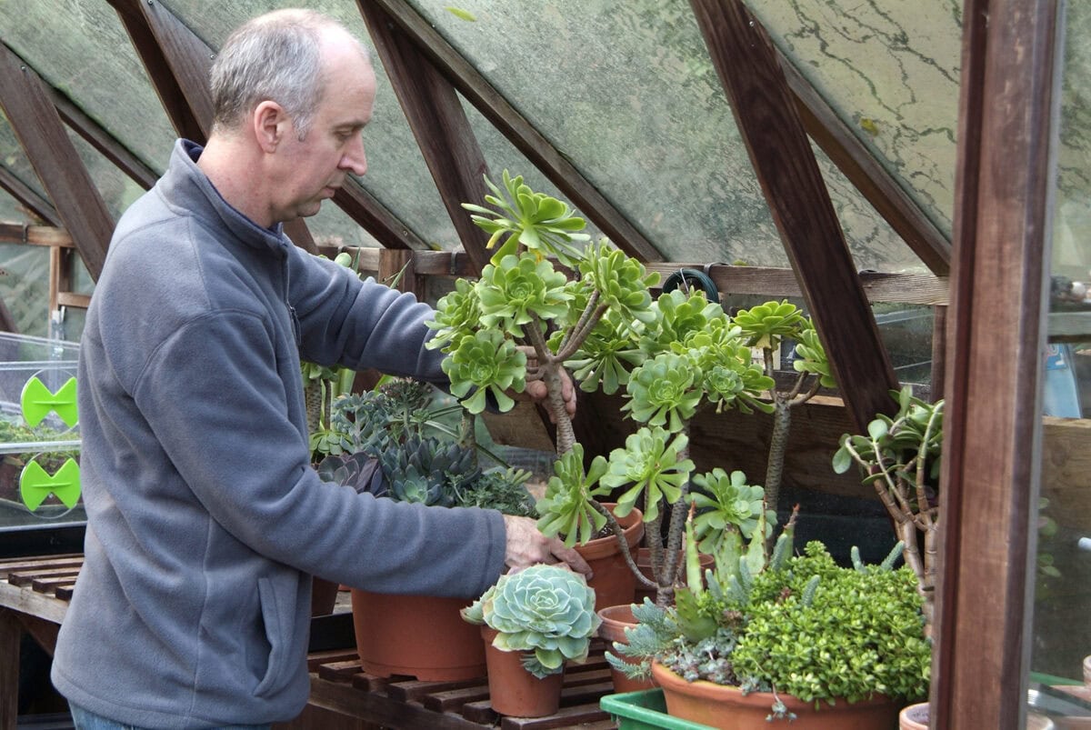 Man zet planten in de kas voor de winter.