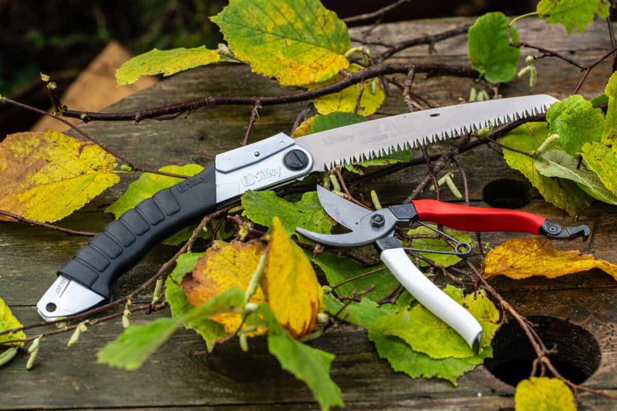 Okatsune 103 en Silky Super Accel op een tafel met blaadjes.