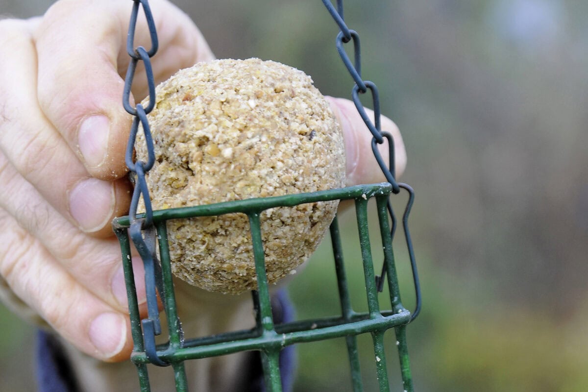 Iemand stop een vetbol in een houder voor vogels.