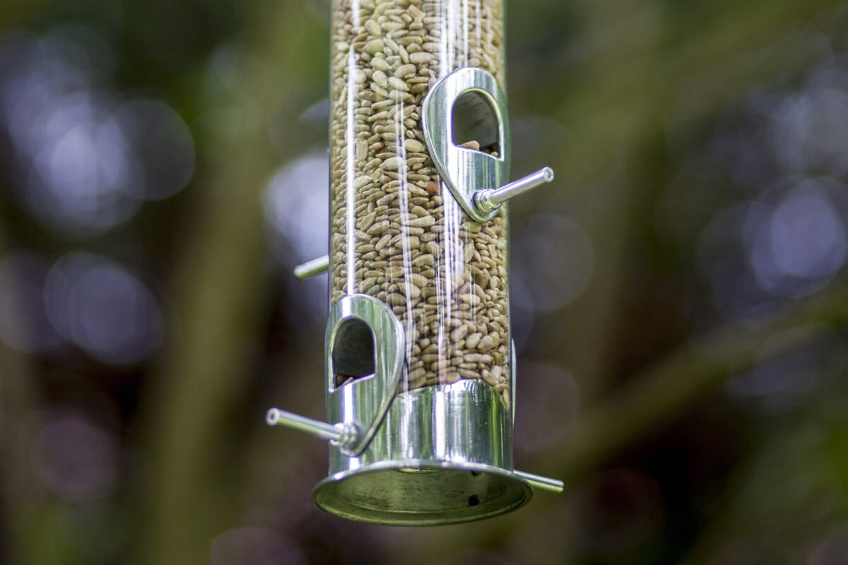Zonnebloemkernen in een vogel voedersilo.
