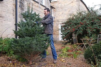 Man houdt boom met naalden vast in tuin.