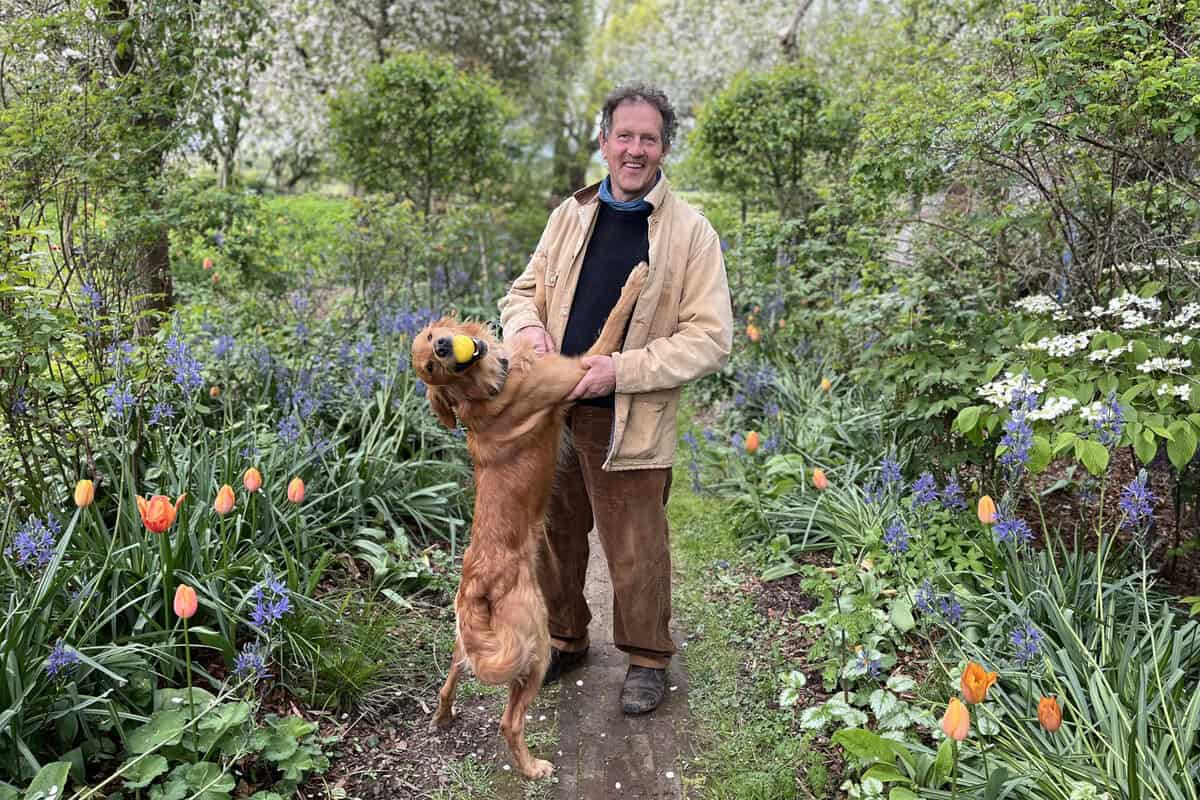 Monty Don speelt met zijn hond Ned in een bloeiende tuin op Longmeadow