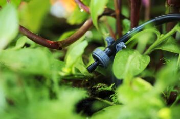 Close-up van een waterdruppelaar, een automatisch watersysteem voor bijvoorbeeld planten in een hangmand.