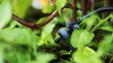 Close-up van een waterdruppelaar, een automatisch watersysteem voor bijvoorbeeld planten in een hangmand.