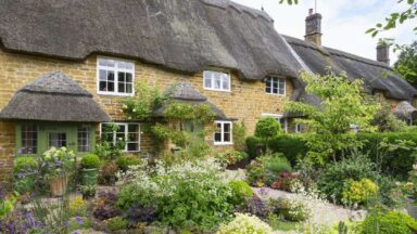 thumbnail voor Voortuin inspiratie: ideeën en voorbeelden (met foto’s)