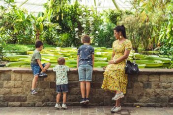 Gezin bekijkt de reuzenwaterlelies in Plantentuin Meise.