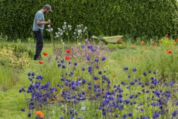 Kweker werkt op het land met bloeiende bloemen.