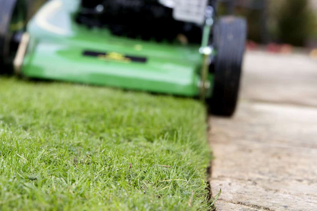 Graszoden leggen: wanneer en hoe doe je dat? - Gardeners World