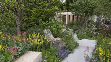 Een overzicht van een AI-tuin met tegels en bloeiende planten tijdens de RHS Chelsea Flower Show 2025.
