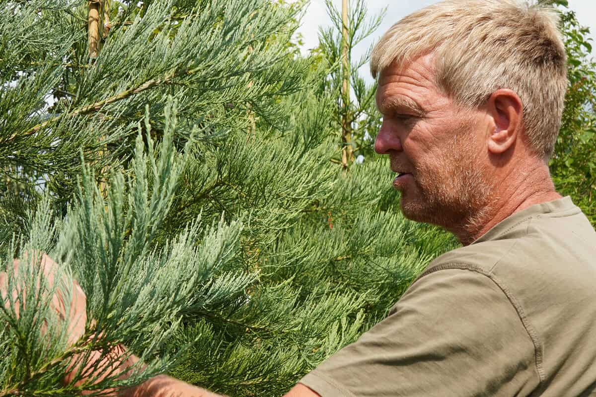 Kweker Albert Leemreize wijst iets aan bij een boom.
