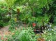 Tuin met pad en schaduwplanten en waterpartij.