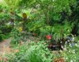 Tuin met pad en schaduwplanten en waterpartij.