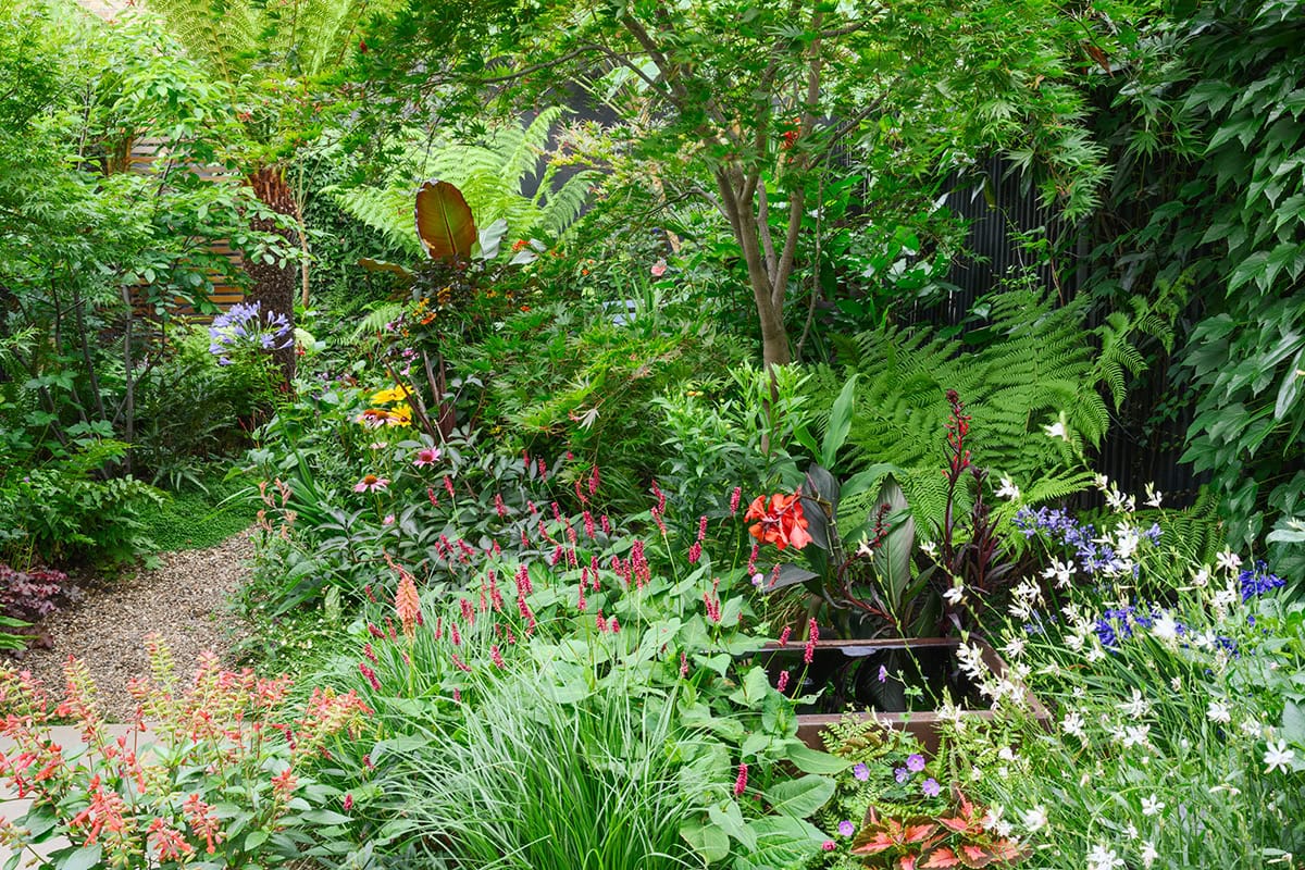Tuin met pad en schaduwplanten en waterpartij.