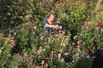 Brenda kopt bloemen in haar pluktuin.