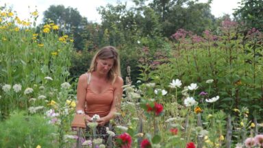 Vrouw middein in een bloemenveld