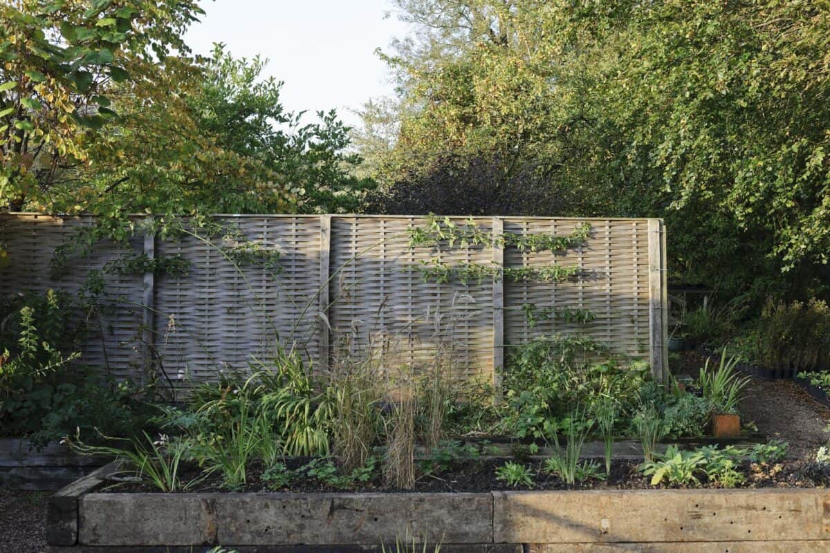 Houten schutting met vlechtmatten