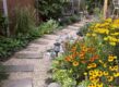 stapstenen pad langs border met vaste planten