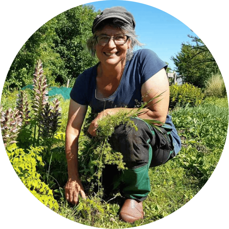 Duurzame kwekerij Alies Natuurlijk