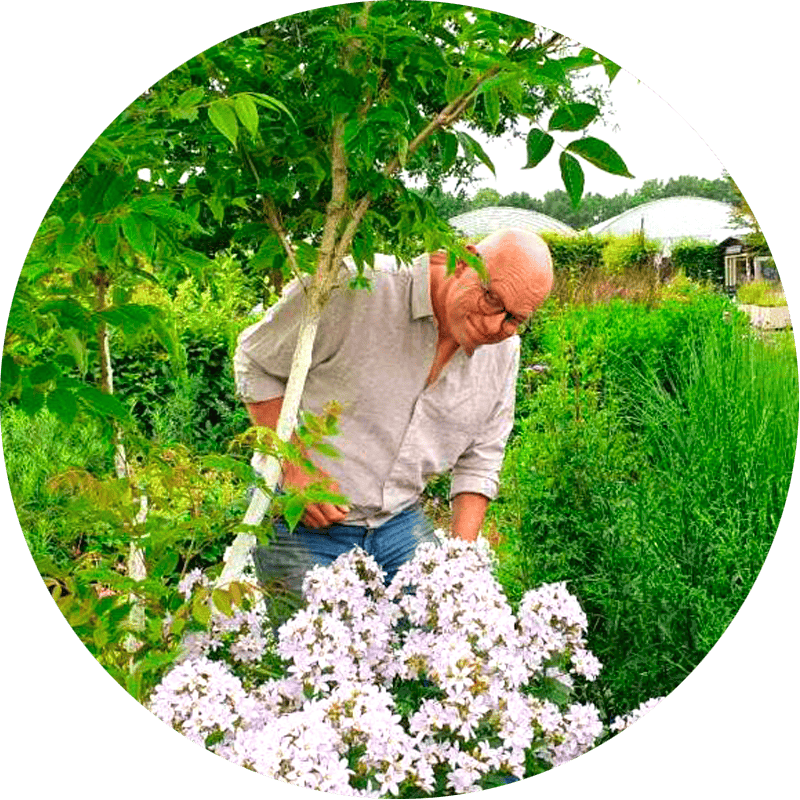 Duurzame kwekerij Arjan Schepers