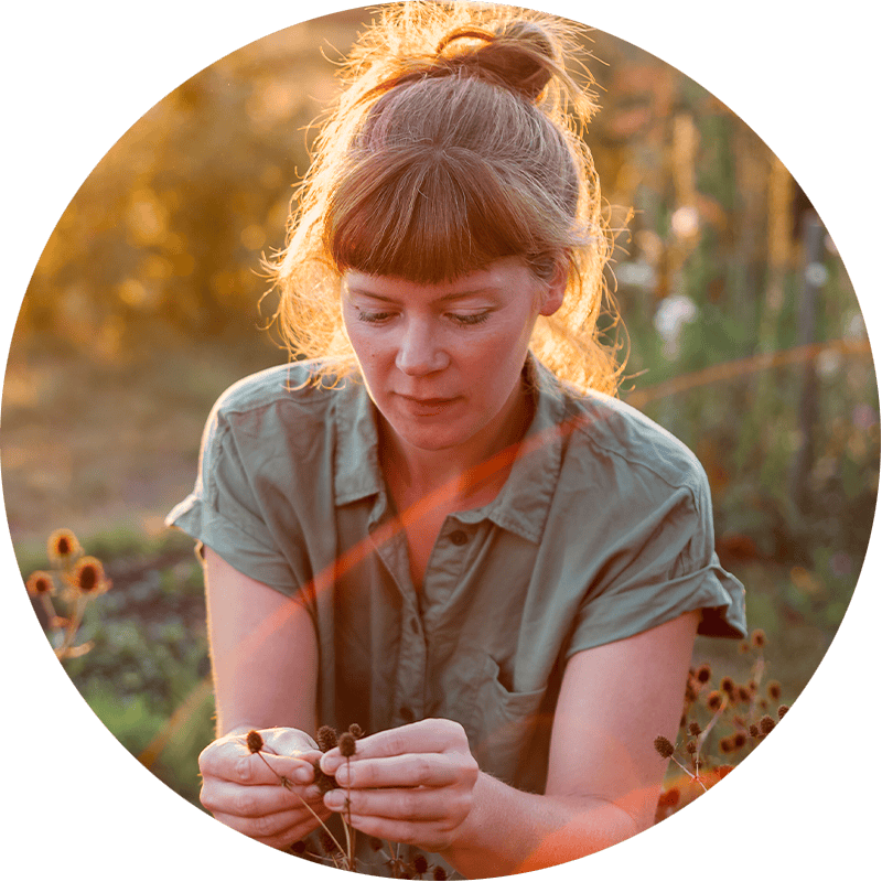 Duurzame kwekerij Bloem en Oogst