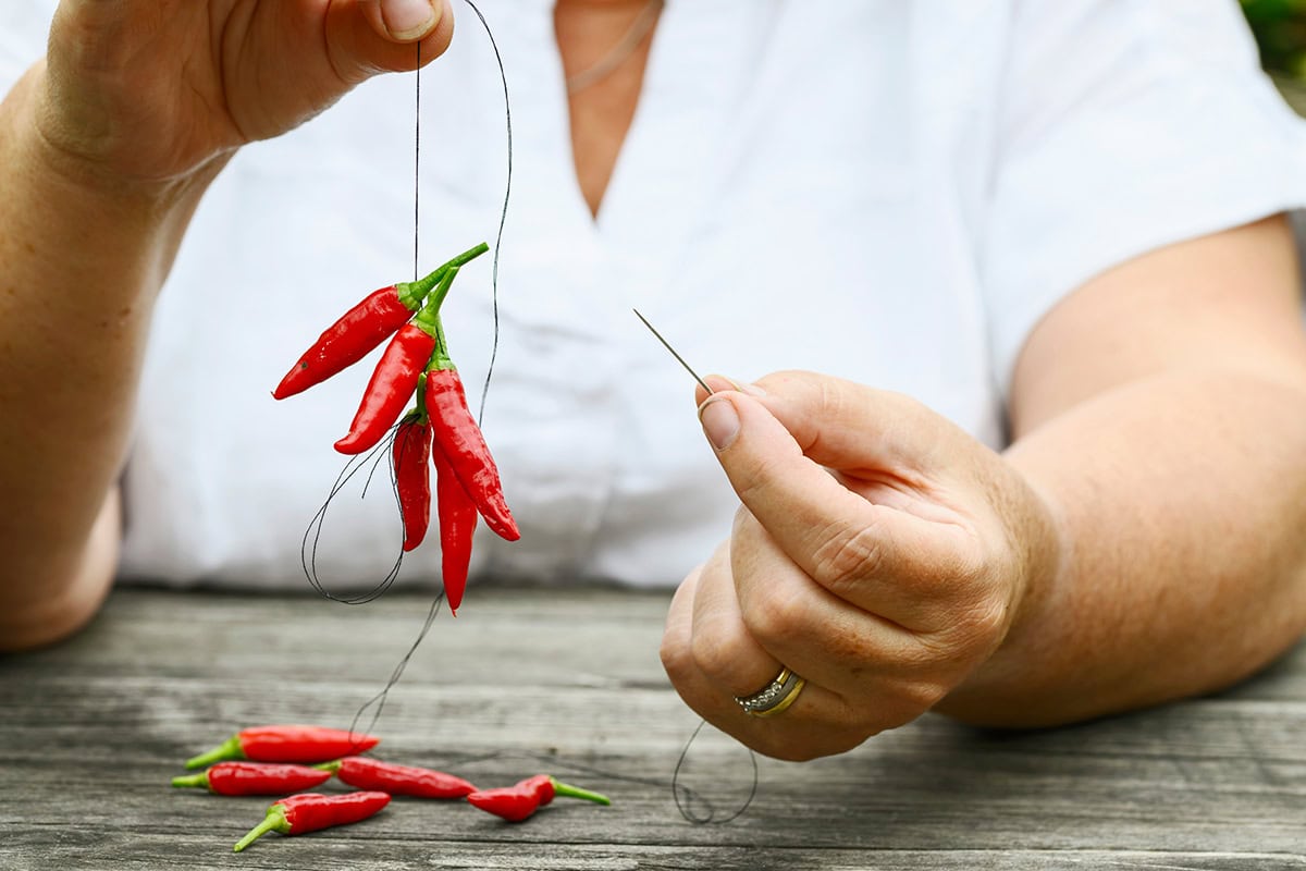 Pepers worden geregen met naald en draad