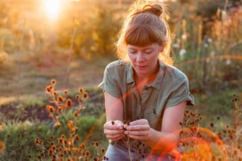 Afbeelding voor Duurzame kweker: Bloem en Oogst