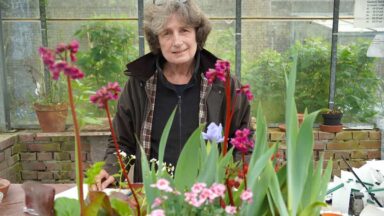 Nicole in de kas op haar kwekerij.