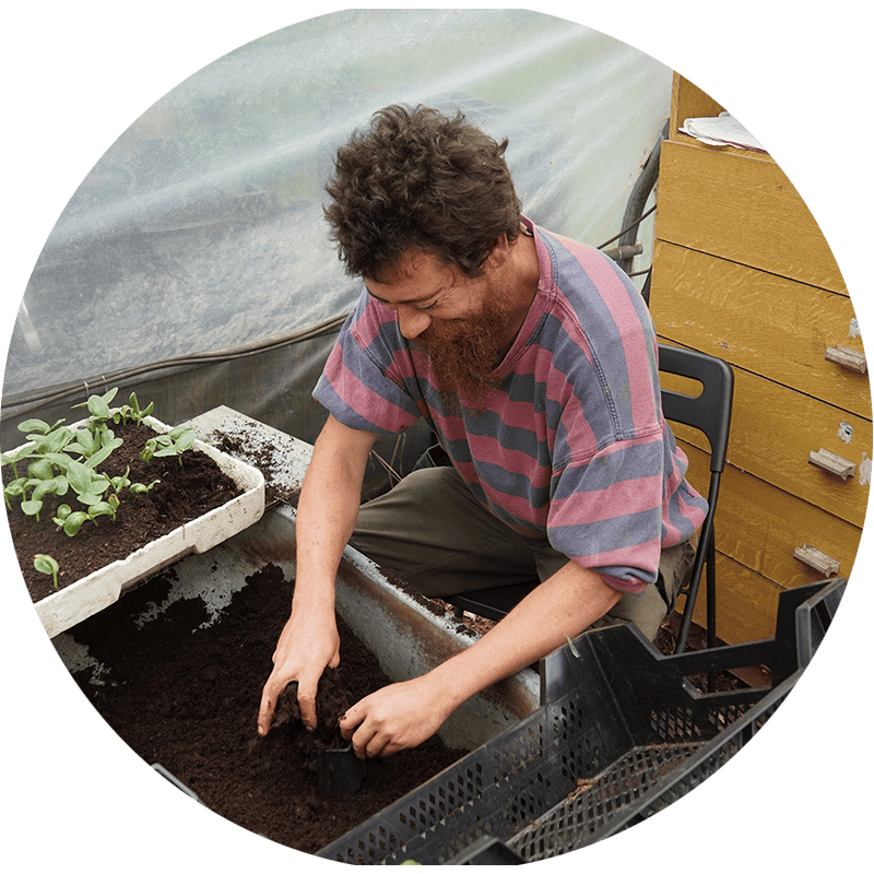 Duurzame kwekerij Ecohoeve 'Den Oude Kastanje'