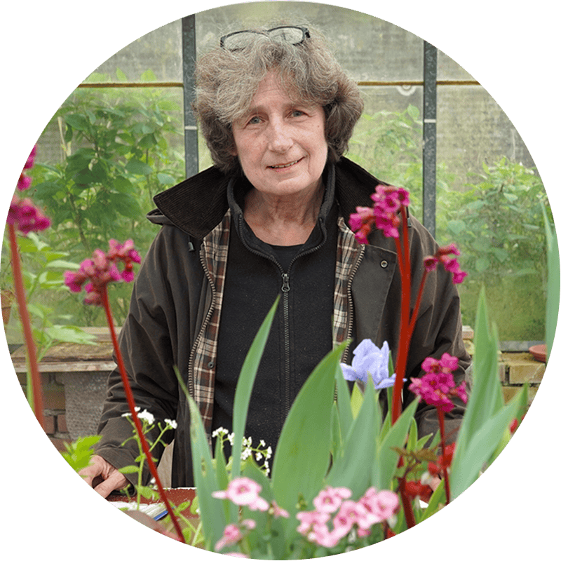 Duurzame kwekerij hof te dieren