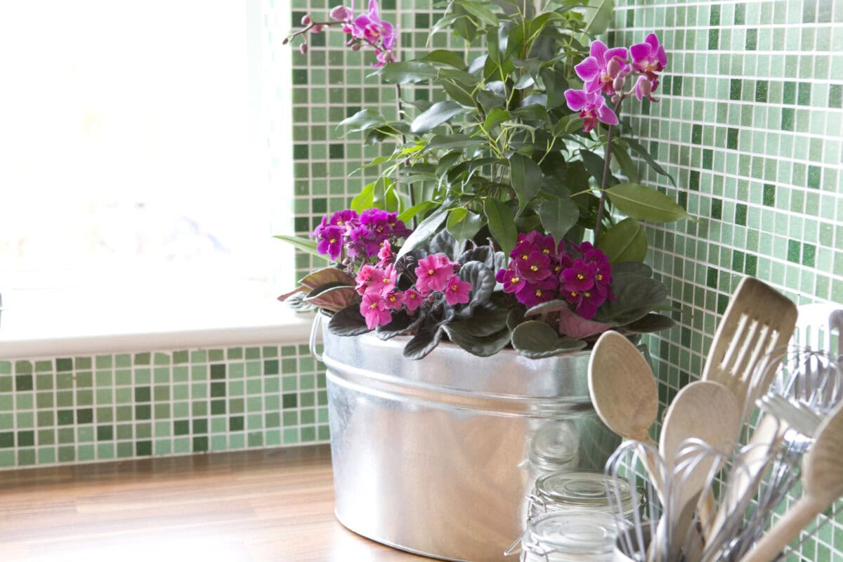 Keukenblad met een vlinderorchidee en andere tropische planten achter een bak met lepels en spatels.