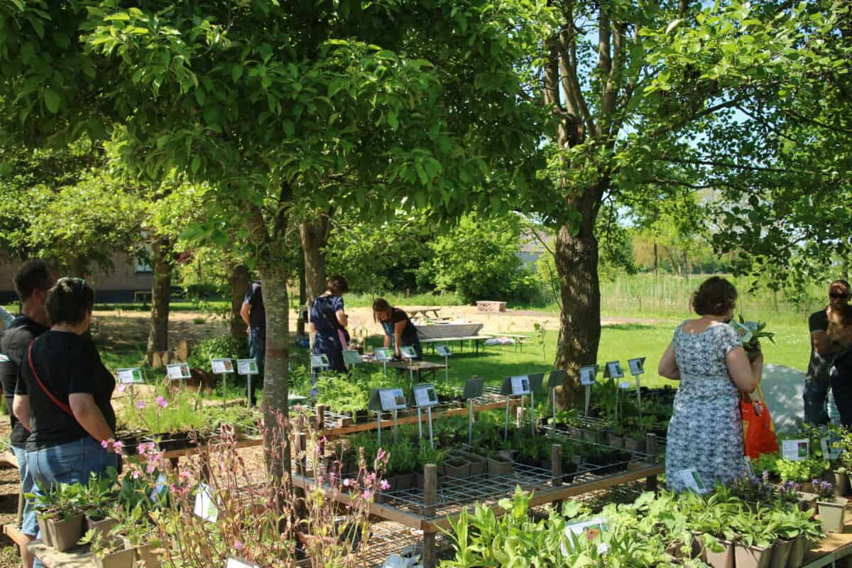 Een overzicht van planten op kwekerij Kleikracht.