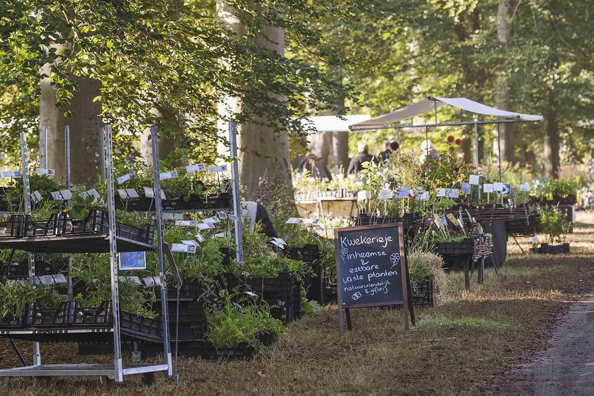 Planten op de stand van Kwekerieje op de plantenmarkt.