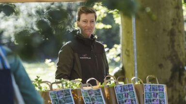 De stand van Kwekerieje op de Ambachtelijke Plantenmarkt.