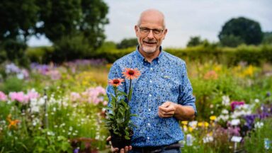 Marcel de Wagt met een plant in zijn hand, buiten op een veld met bloeiende planten.