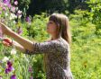 Vrouw plukt bloemen in de tuin.
