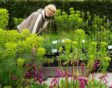 Saskia op haar mini-kwekerij, tussen de planten.