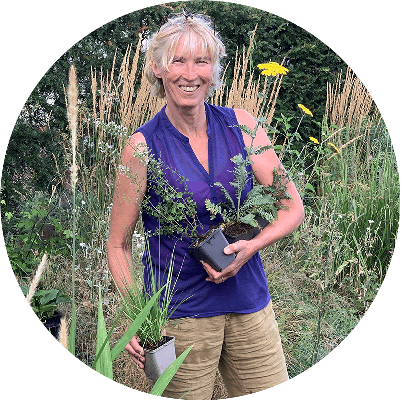 Duurzame kwekerij Sas' MiniKwekerij