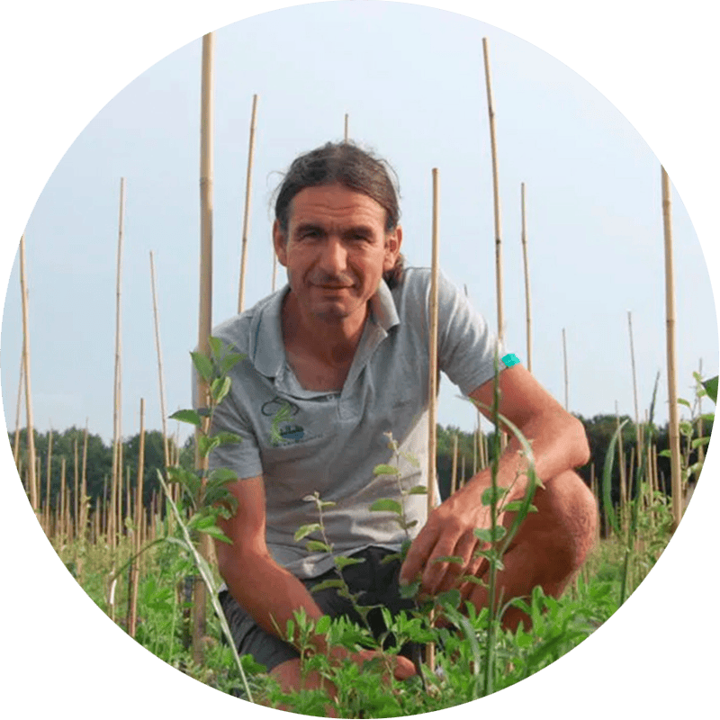 Duurzame kwekerij Stadsbomerij