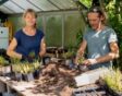 Yessie en Boudewijn aan het werk aan een tafel met planten op de kwekerij.