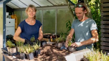 Yessie en Boudewijn aan het werk aan een tafel met planten op de kwekerij.