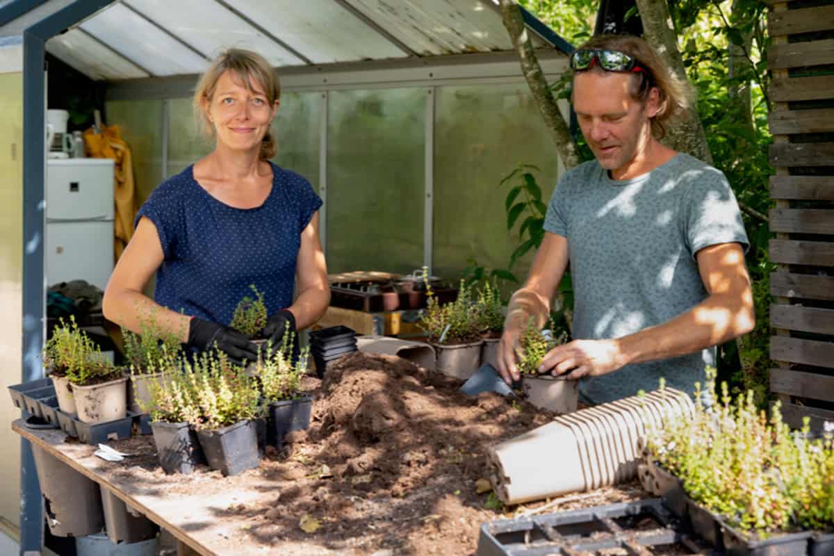 Yessie en Boudewijn aan het werk aan een tafel met planten op de kwekerij.