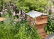 Tuin met bloemen en insectenhotel