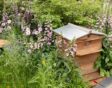 Tuin met bloemen en insectenhotel