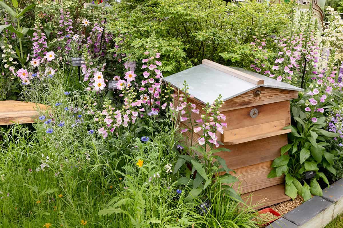 Tuin met bloemen en insectenhotel