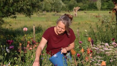 Brenda plukt bloemen in haar pluktuin Zaden uit Zalk.