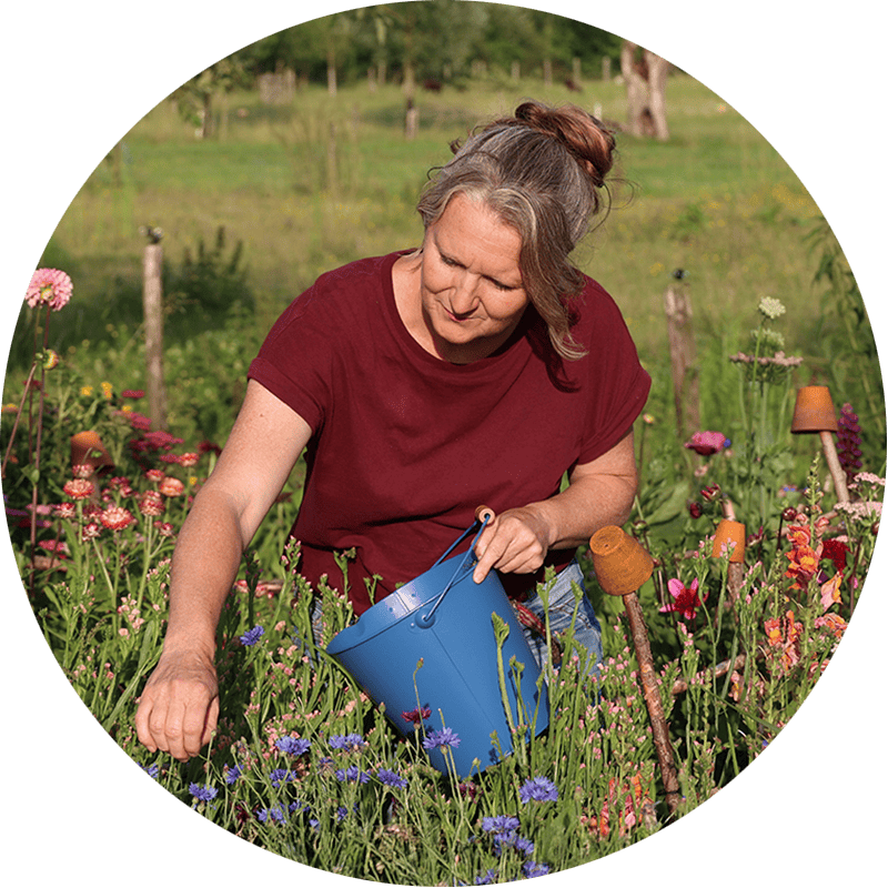 Duurzame kwekerij Zaden uit Zalk