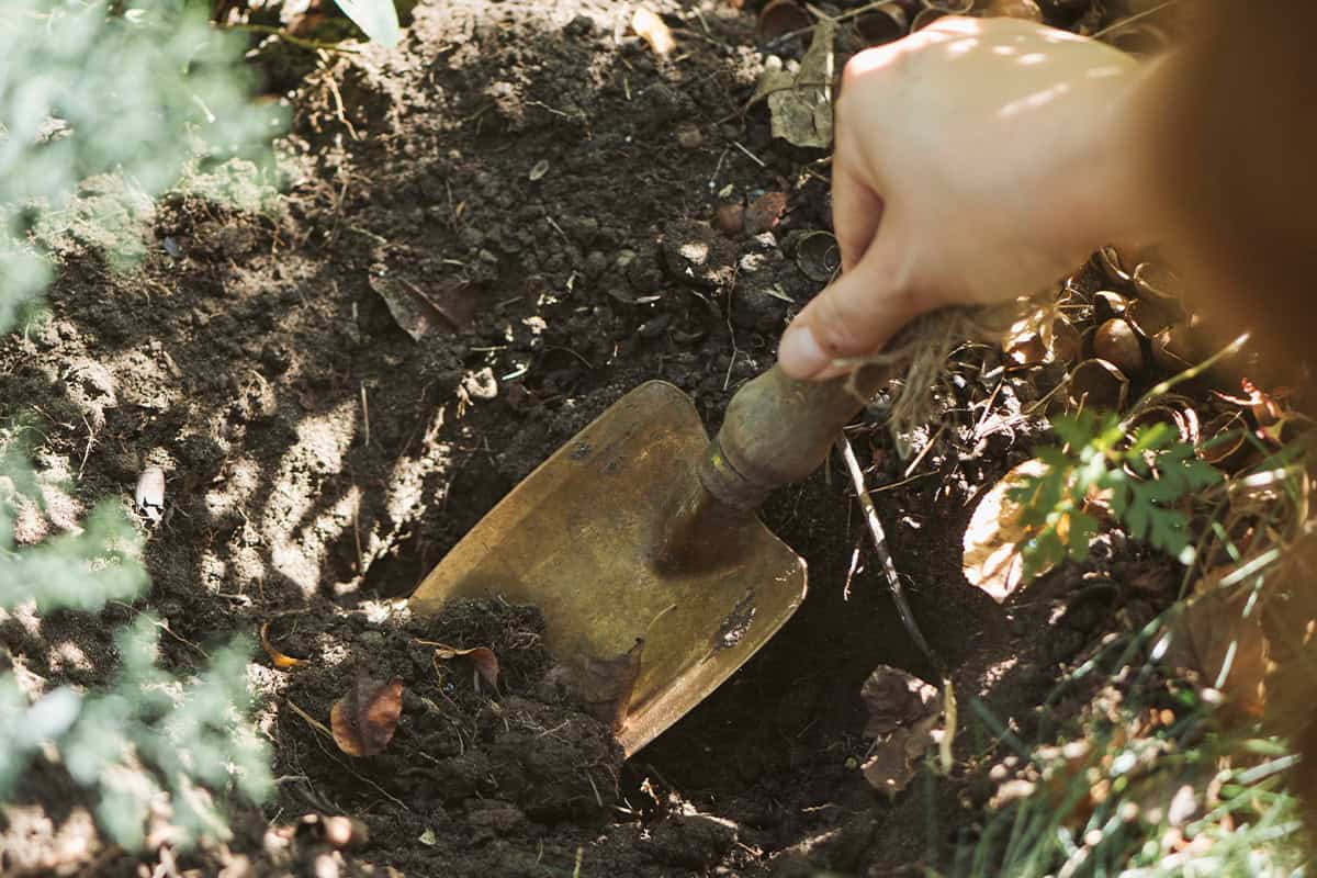 Hand met tuinschepje.