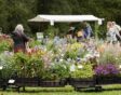 Kraam met bloeiende planten op de ambachtelijke plantenmarkt